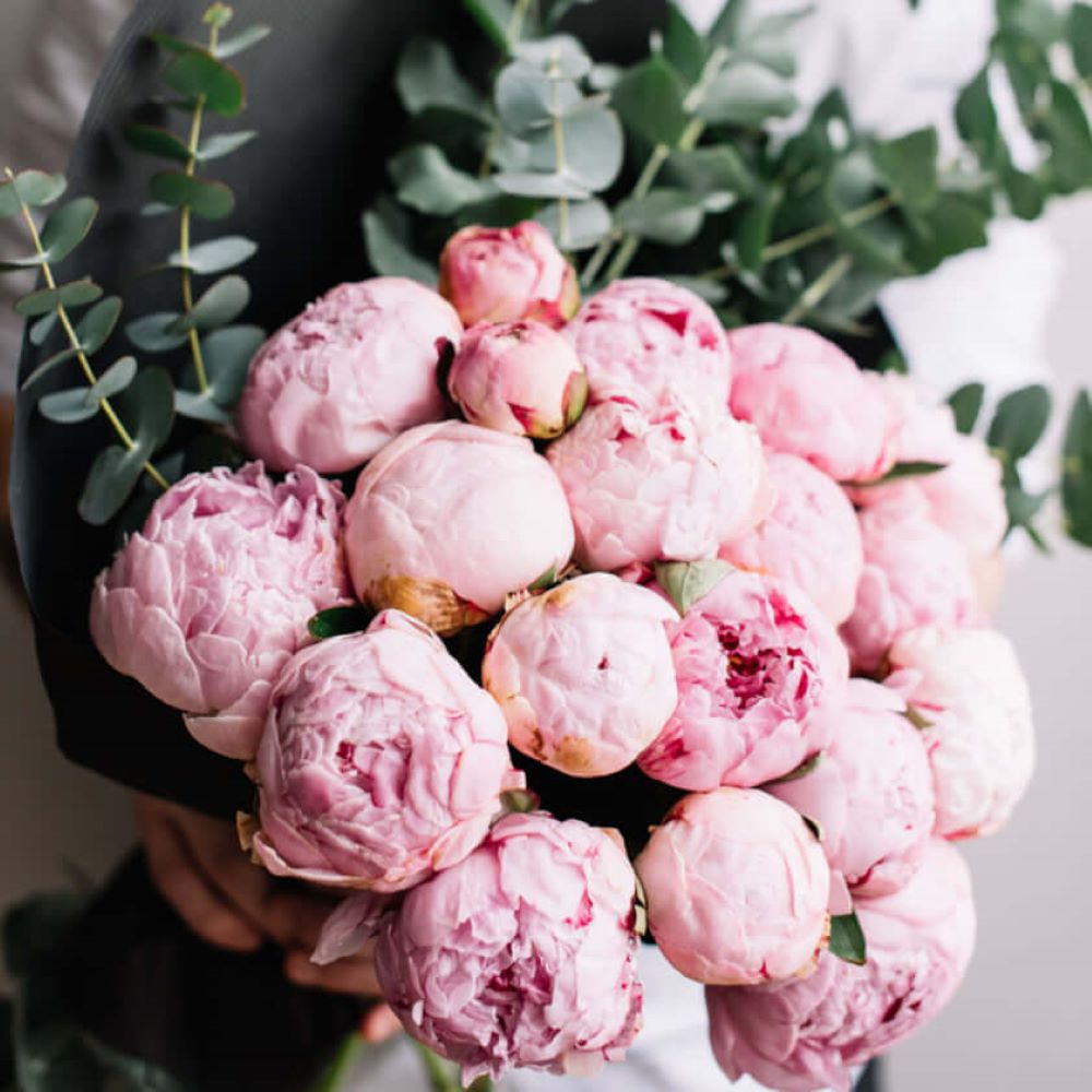 Seasonal Flowers