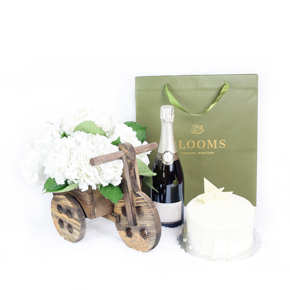 Sparkling Wine with White Hydrangea Planter – how the gift is presented