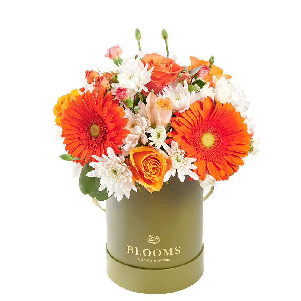 Fresh Daisies, Roses & Gerbera Hat Box Arrangement – how the gift is presented