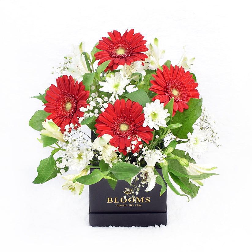 Flower Box with Red Roses – how the gift is presented