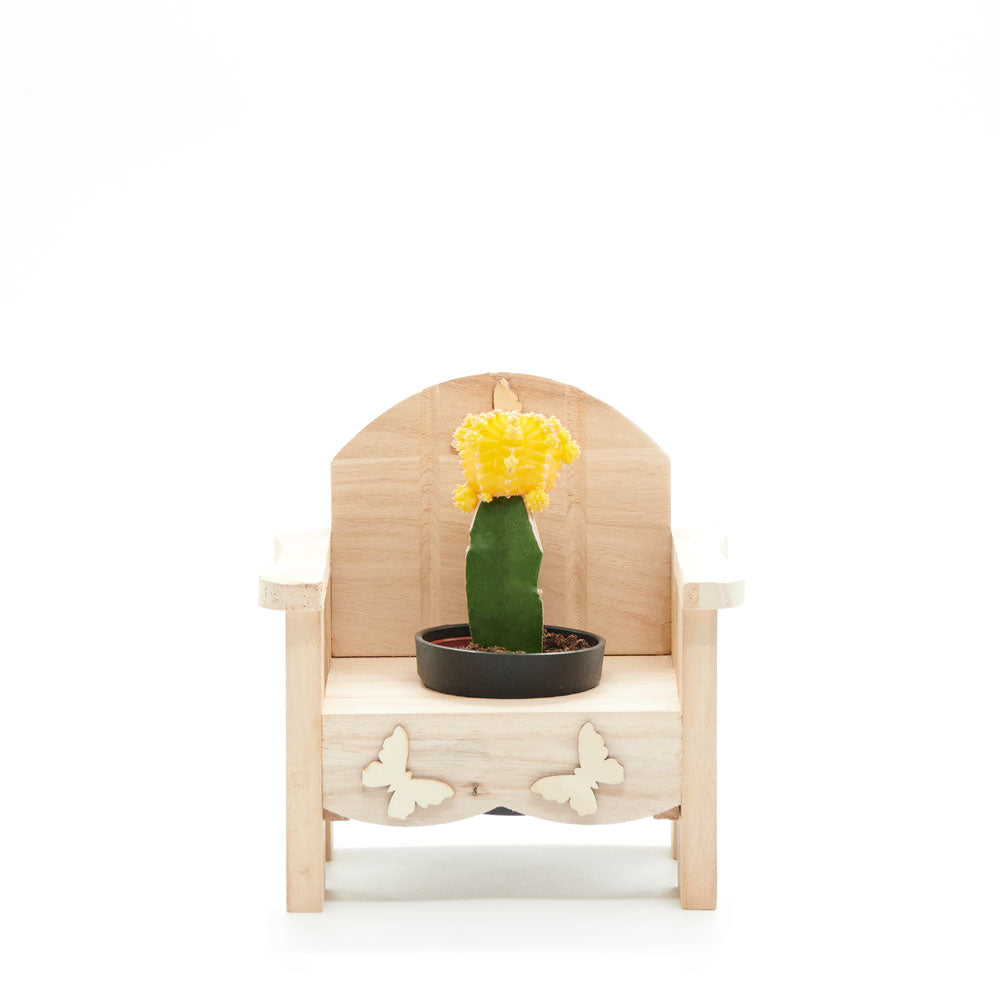 Potted Cactus in Wooden Planter Chair – how the gift is presented