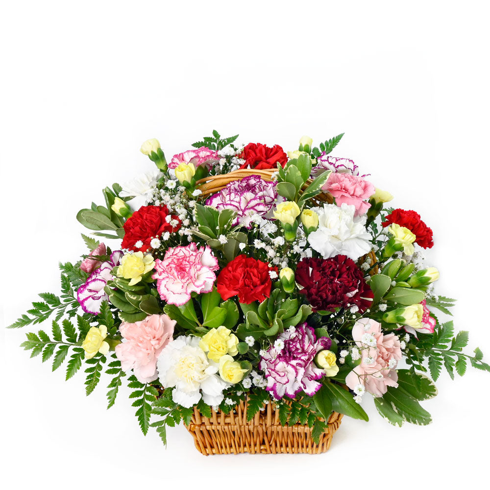 Multi-Coloured Carnation Basket – how the gift is presented