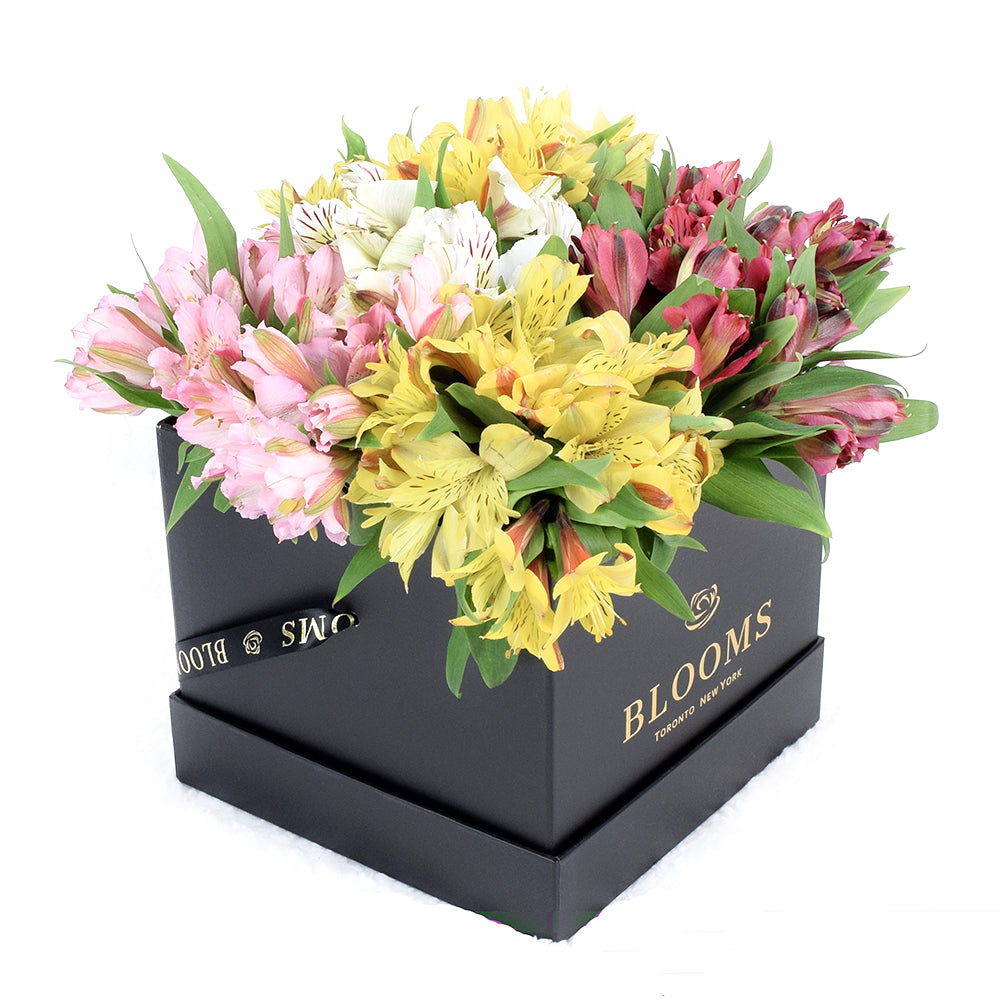 Peruvian Lily Hat Box – how the gift is presented