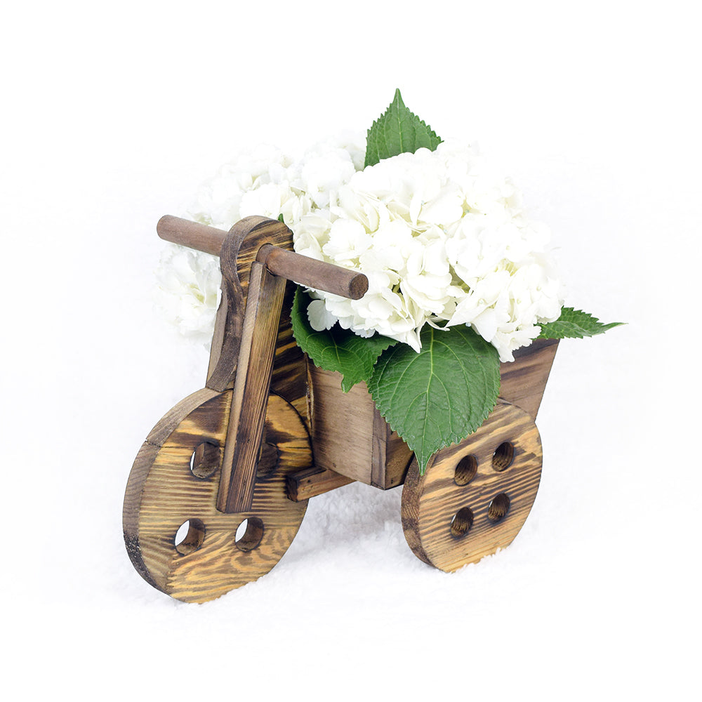 White Hydrangea Bicycle Planter Bouquet – how the gift is presented