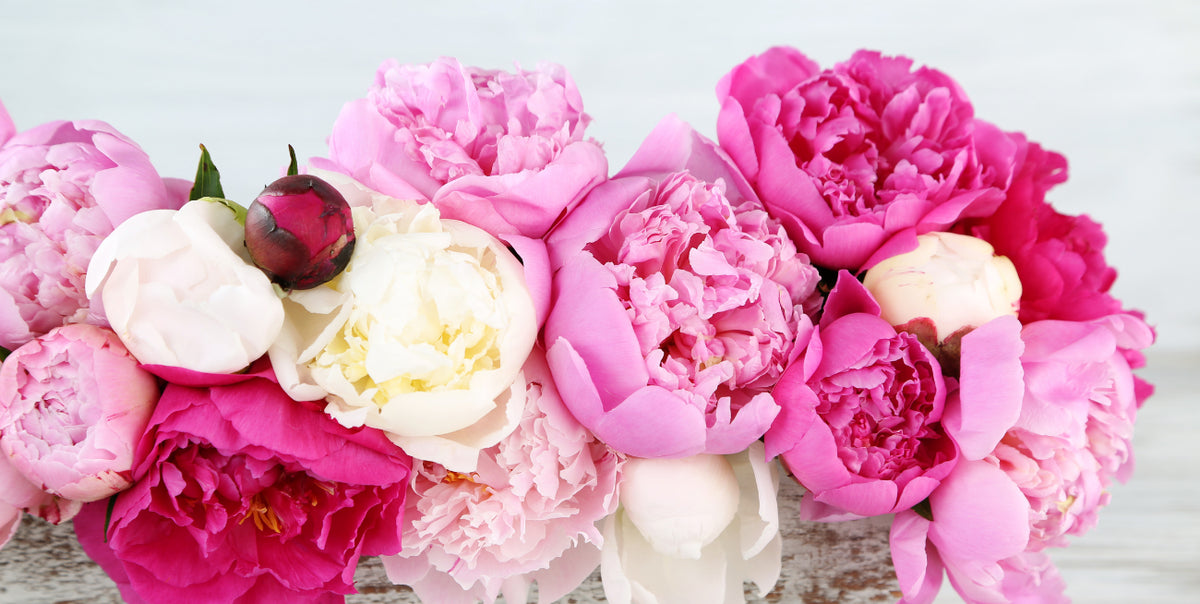 The Best Floral Gift Ideas for Summer Weddings & Anniversaries