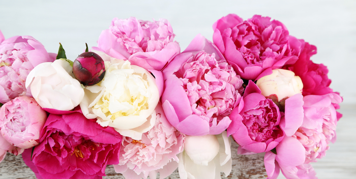 The Best Floral Gift Ideas for Summer Weddings & Anniversaries
