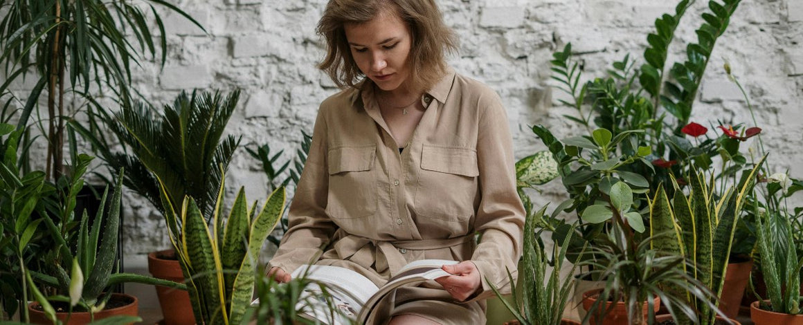 Plantes - Nouveautés