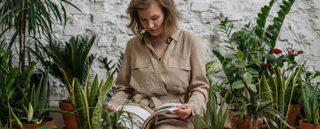 Plantes - Nouveautés