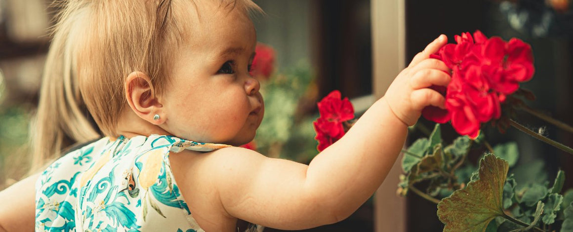 Baby Shower et nouveau bébé