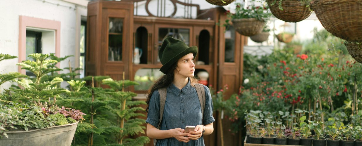 Bonsaïs et plantes tropicales