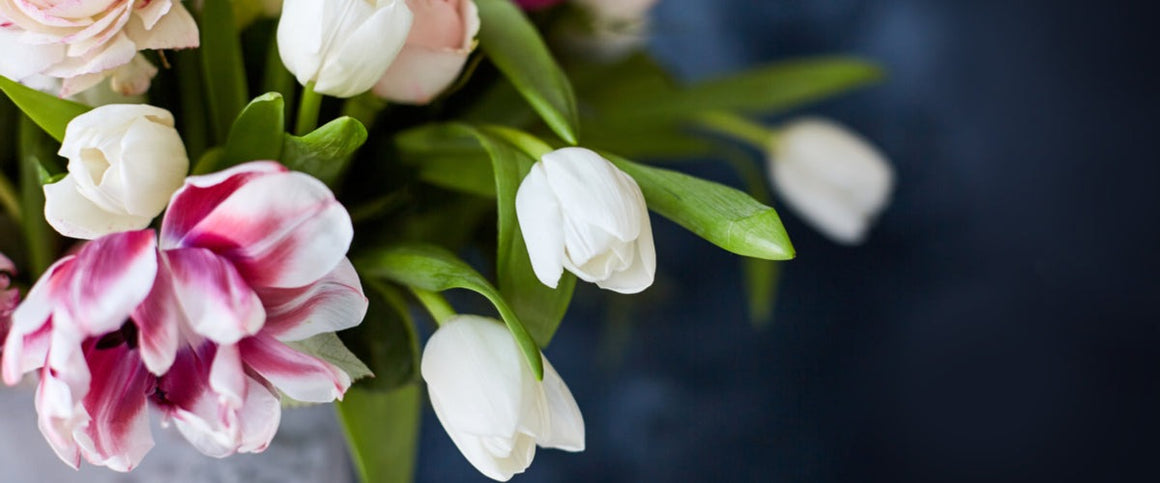 Fleurs - Nouveautés