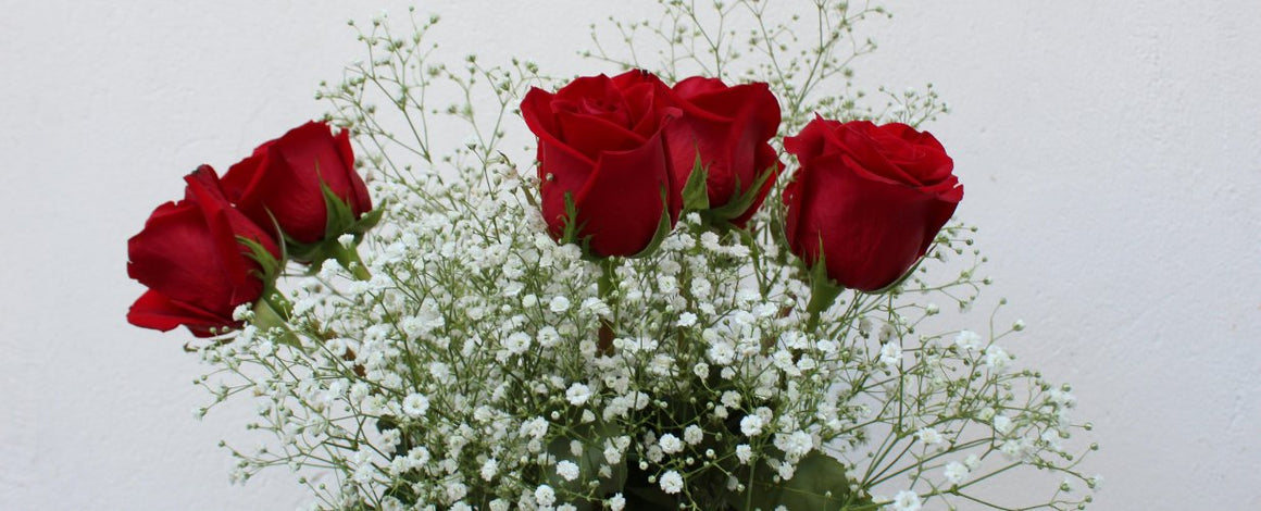 Plantes de la Saint-Valentin