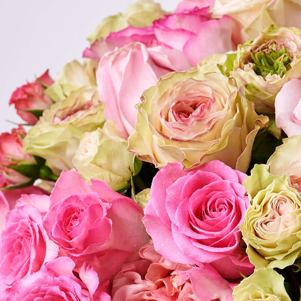 Ultimate Blushing Rose Gift, a mix of pink and white roses elegantly presented in a pink hat box, Flower Gifts from Vancouver Blooms - Same Day Vancouver Delivery.