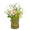 “Berry Special” Orchid Arrangement – Orchid Gifts – Vancouver delivery