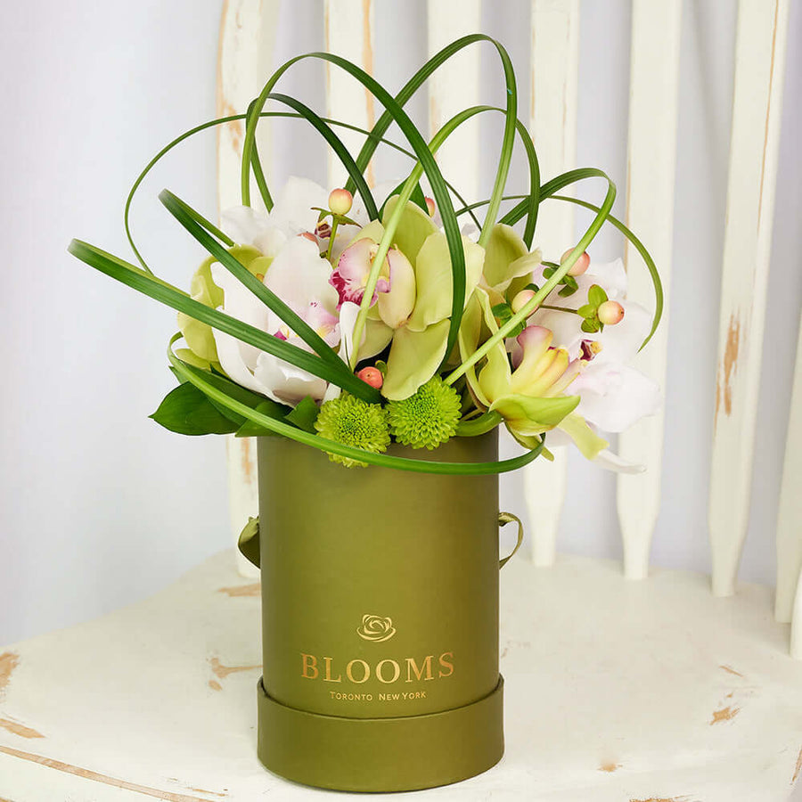 “Berry Special” Orchid Arrangement – Orchid Gifts – Vancouver delivery