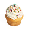 Birthday Cupcakes - Baked Goods - Cupcake Gift - Same Day Vancouver Delivery