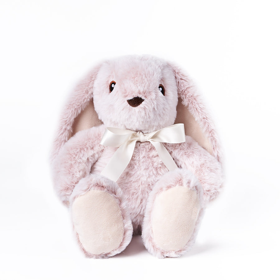Bunners the Bunny, plush toy gift, plush toy, stuffed animal gift, stuffed animal. Blooms Vancouver- Blooms Vancouver Delivery