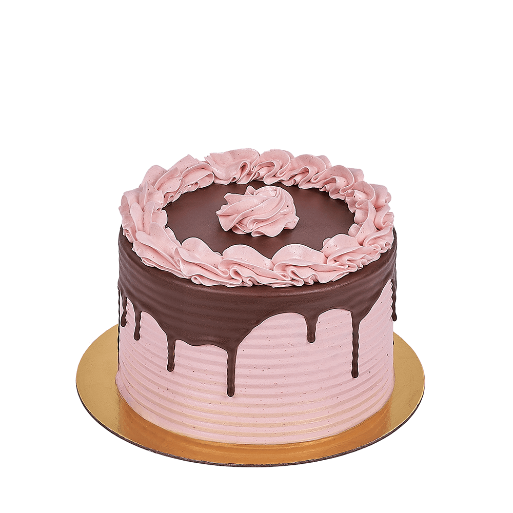 Chocolate Raspberry Cake - Cake Gift - Same Day Vancouver Delivery
