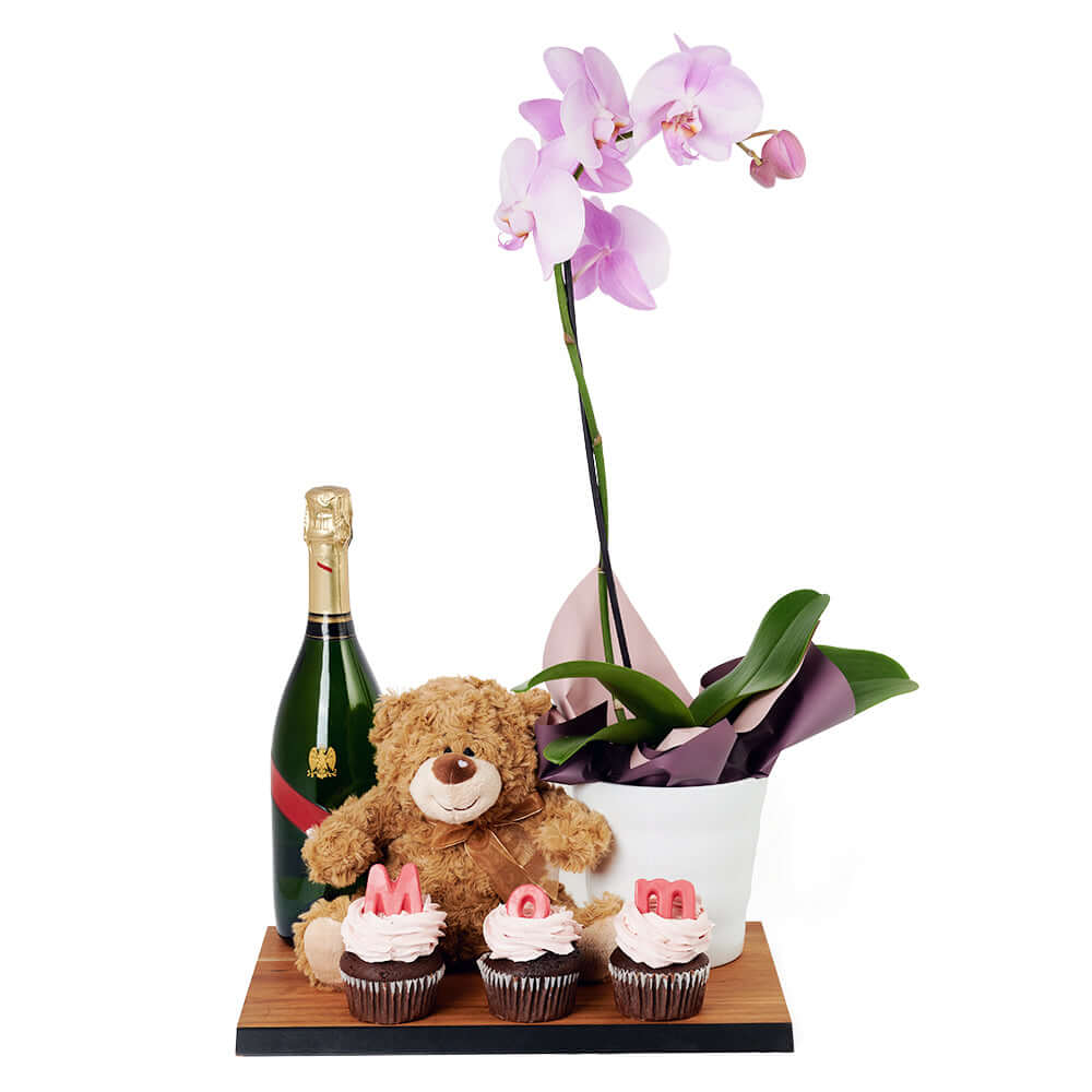 Teddy bear, Orchid, Cupcake and Champagne Set - Same Day Vancouver Gift Delivery