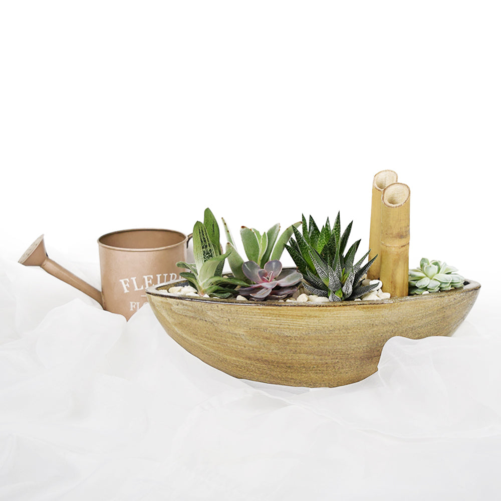 Give a gift that will brighten up a home or garden with the Tropical Plant Garden from Vancouver Blooms.