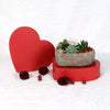 Valentine's Day Heart Succulent Trio, Vancouver Delivery