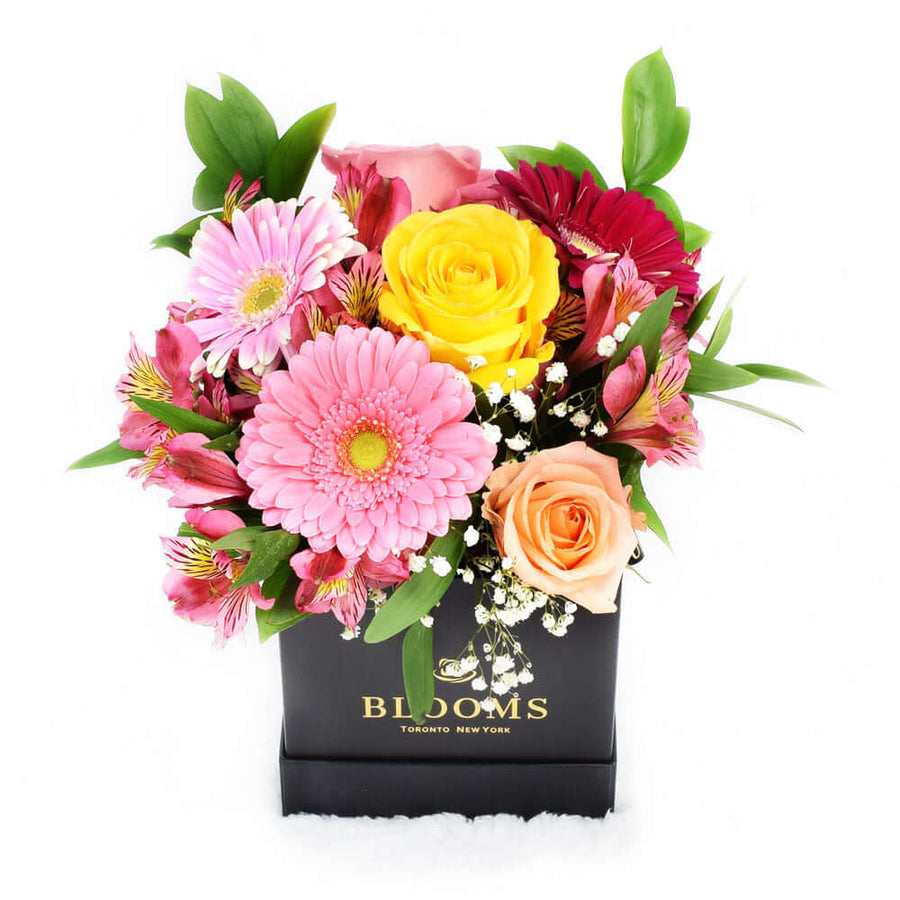 Mix Flower Hat Box Arrangement - Vancouver Same Day Delivery