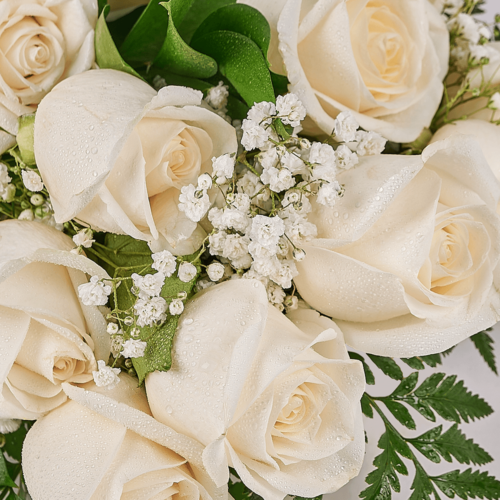 Enduring White Rose Bouquet & Box, floral gifts, rose gifts, gifts, roses, Vancouver delivery