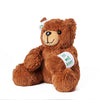 Get Well Soon Teddy, plush bear gift, plush bear, teddy bear gift, teddy bear. Blooms Vancouver- Blooms Vancouver Delivery