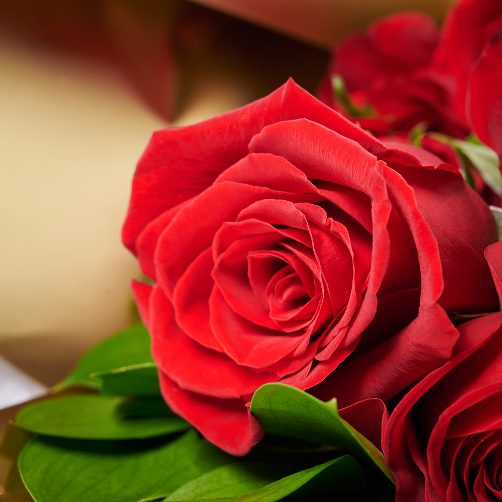 Grand Red Rose Gift With Chocolate & Wine.Blooms Vancouver- Blooms Vancouver Delivery