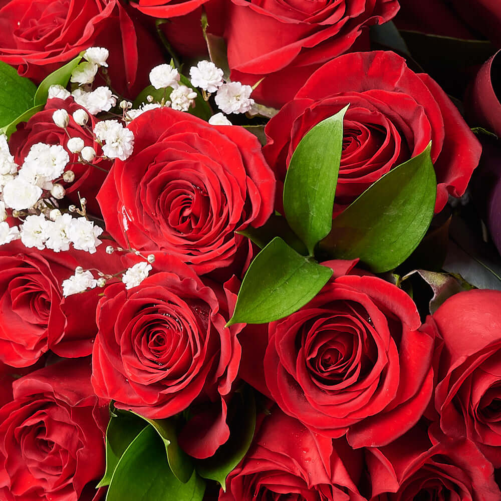 Anniversary roses Vancouver