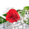 Valentine's Day Single Red Rose, Vancouver Delivery