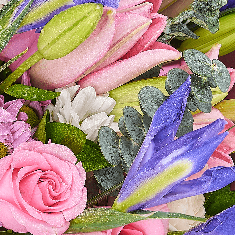 Lavender Whispers Iris Bouquet, Flower Gifts from Vancouver Blooms - Same Day Vancouver Delivery.