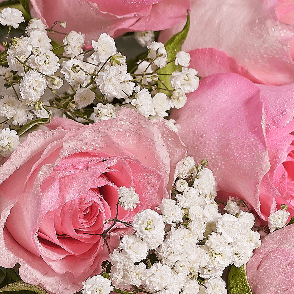 Mother’s Day Ultimate Pink Rose Gift Set – Mother’s Day Gifts – Vancouver delivery, champagne gift, champagne, sparkling wine gift, sparkling wine