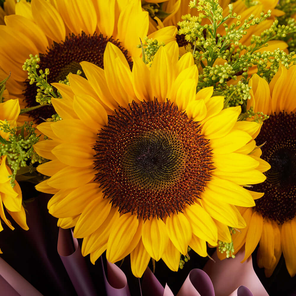 Summer Glory Sunflower Bouquet, Flower Gifts from Vancouver Blooms - Same Day Vancouver Delivery.