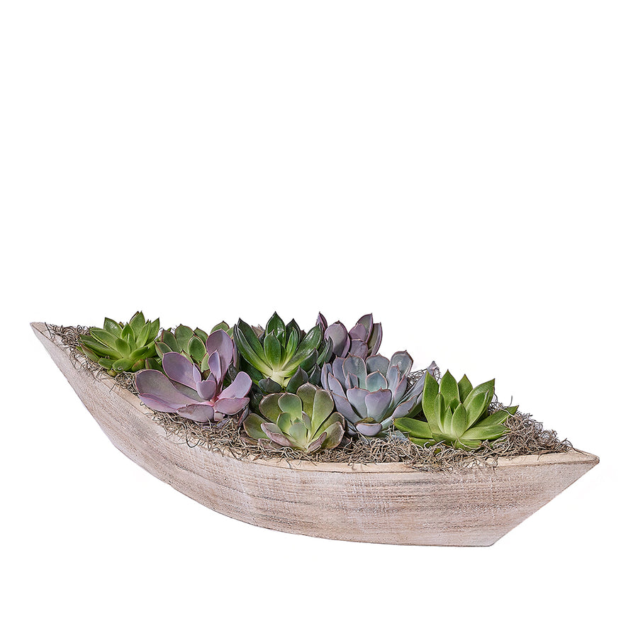 Serenity Plant Garden, plant gift, plant, succulent gift, succulent, Vancouver delivery