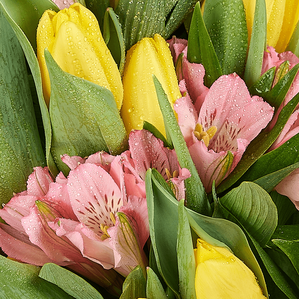Spring Radiance Mixed Bouquet, tulip gift, tulips, flower gift, flower, seasonal flower gift, seasonal flower, Vancouver delivery