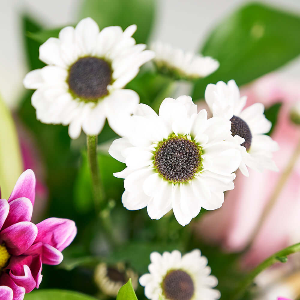 Suddenly Spring Mother’s Day Floral Gift - Mother's Day Gifts - Same Day Vancouver Delivery