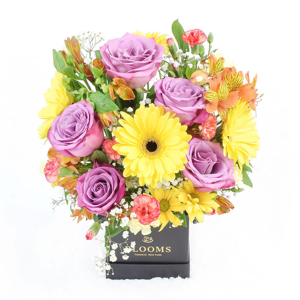  Summer Dreams Mixed Arrangement ring in the grand celebration and grace every special occasion with their undeniable charm.  Vancouver Delivery