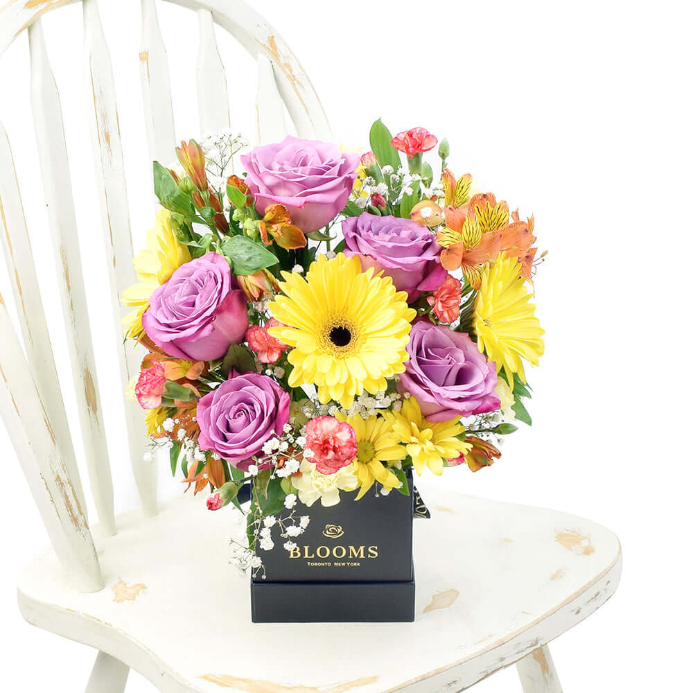  Summer Dreams Mixed Arrangement ring in the grand celebration and grace every special occasion with their undeniable charm.  Vancouver Delivery