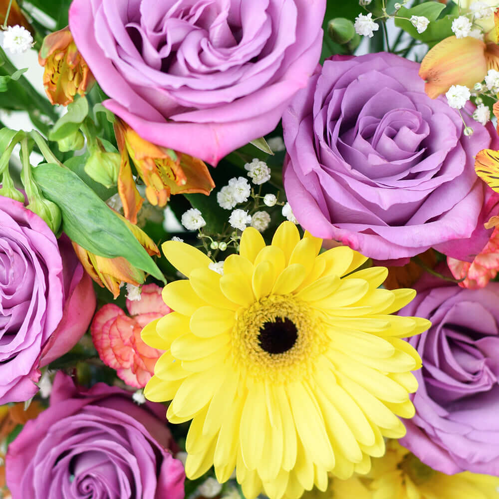  Summer Dreams Mixed Arrangement ring in the grand celebration and grace every special occasion with their undeniable charm.  Vancouver Delivery