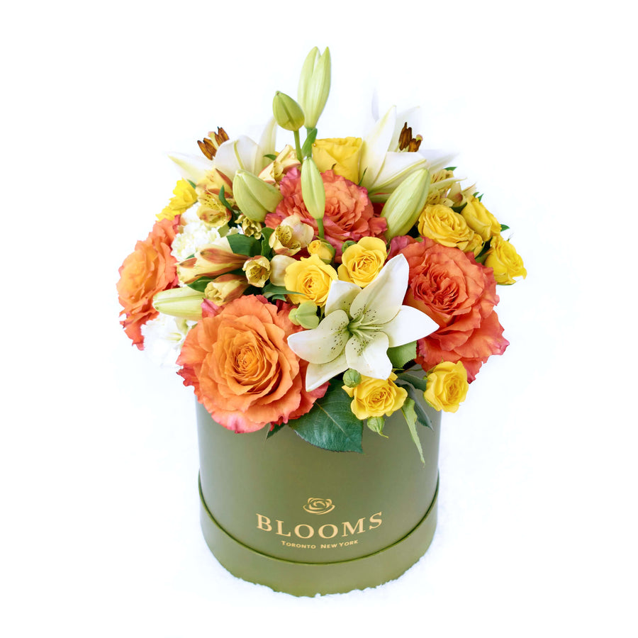 The Summer Glow Mixed Arrangement features a selection of beautiful roses, lilies, daisies, alstroemeria and carnations in a sleek designer box – ready to be delivered to your loved ones on any special occasion.  Vancouver Delivery