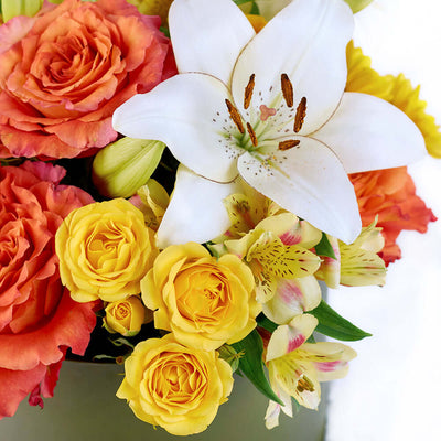 The Summer Glow Mixed Arrangement features a selection of beautiful roses, lilies, daisies, alstroemeria and carnations in a sleek designer box – ready to be delivered to your loved ones on any special occasion.  Vancouver Delivery