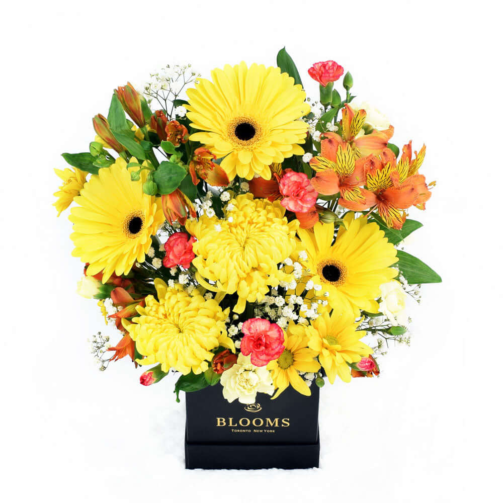 Sunrise mixed floral hat box arrangement. Same Day Vancouver Delivery