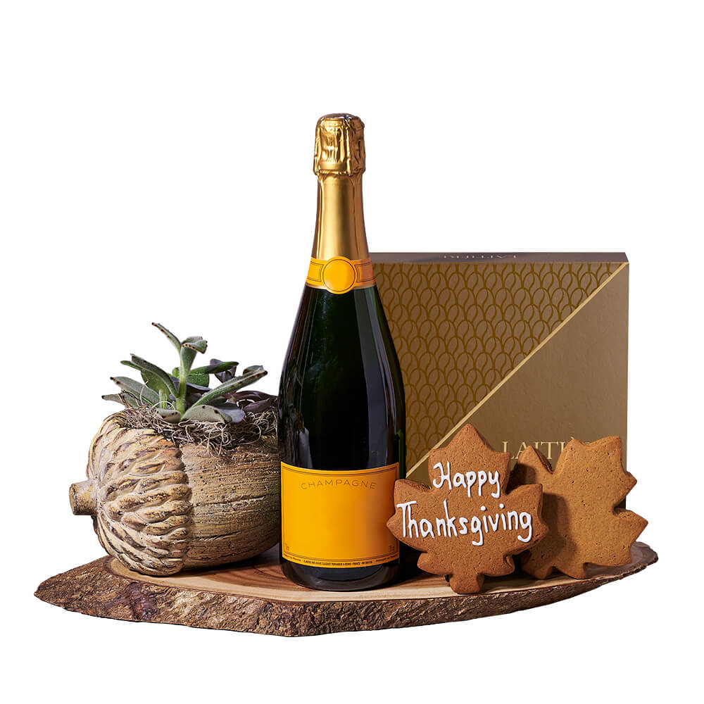 Thanksgiving Champagne &amp; Succulent Gift, sparkling wine gift, sparkling wine, champagne gift, champagne, plant gift, plant, thanksgiving gift, thanksgiving. Blooms Vancouver- Blooms Vancouver Delivery