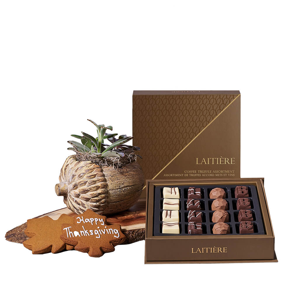 Thanksgiving Succulent & Cookie Gift, thanksgiving gift, thanksgiving, chocolate gift, chocolate, plant gift, plant. Blooms Vancouver- Blooms Vancouver Delivery