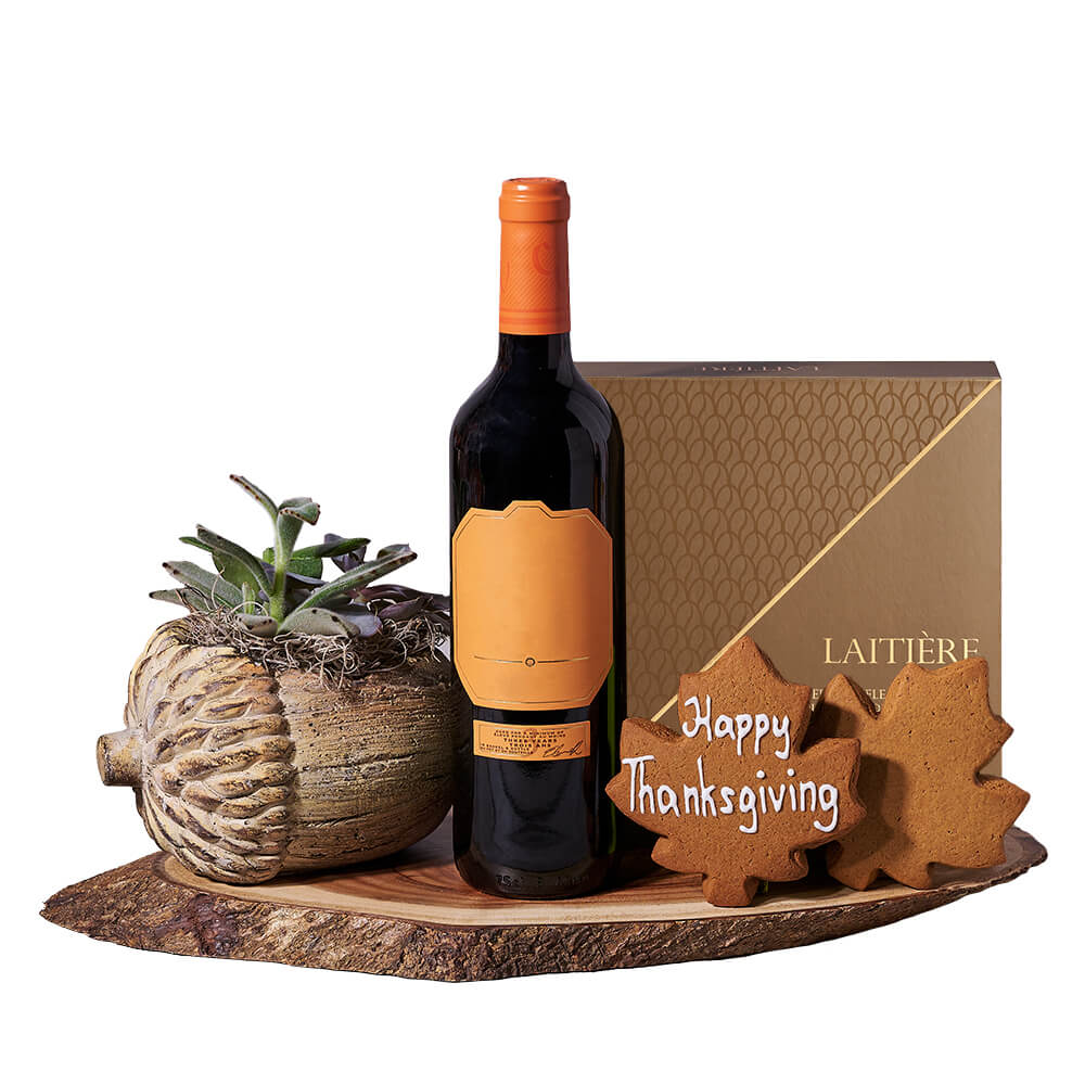 Thanksgiving Wine &amp; Succulent Gift, wine gift, wine, thanksgiving gift, thanksgiving, plant gift, plant, gourmet gift, gourmet. Blooms Vancouver- Blooms Vancouver Delivery