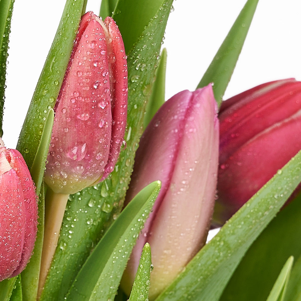Valentine's Day Seasonal Bouquet, Vancouver Same Day Flower Delivery, Valentine's Day gifts, tulips, seasonal