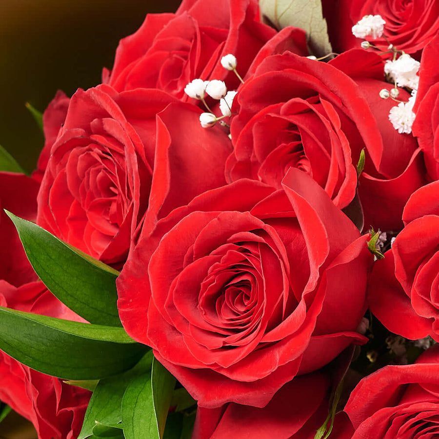 Bouquet d'une douzaine de roses rouges pour la Saint-Valentin