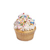 Vanilla Cupcakes with Sprinkles, cupcake gift, cupcake, birthday gift, birthday, Vancouver delivery