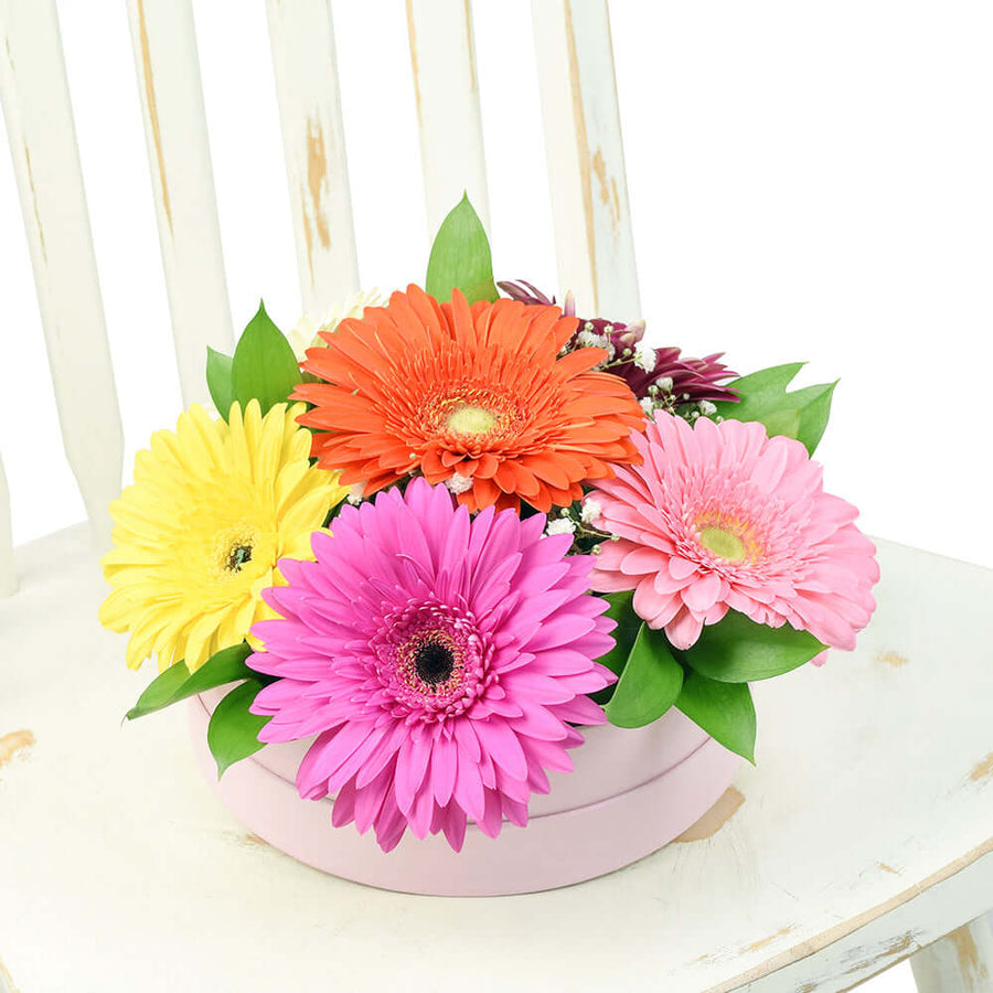 Floral Daisy Hat box arrangement in bright colours. Same Day Vancouver Delivery.